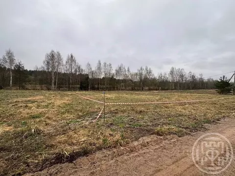 Участок в Ленинградская область, Лужский район, Скребловское с/пос, д. ...
