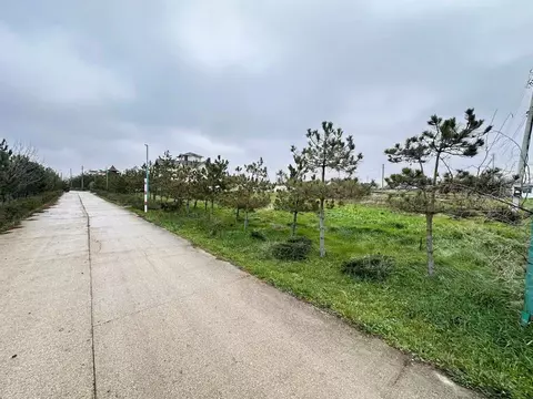 Участок в Крым, Ленинский район, Семисотское с/пос, с. Каменское пер. ...