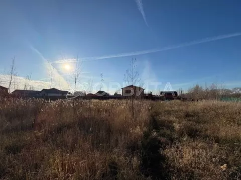 Участок в Тюменская область, Тюменский район, с. Мальково Новая ул., ...