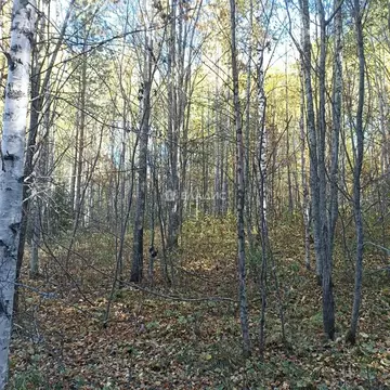 Участок в Карелия, Кондопожский район, Гирвасское с/пос, д. ...