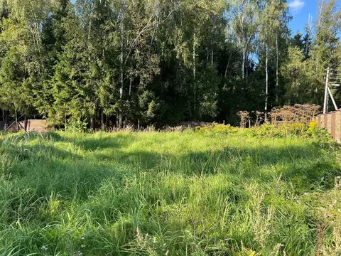 Участок в Москва Лесное озеро кп, 38 (25.0 сот.)