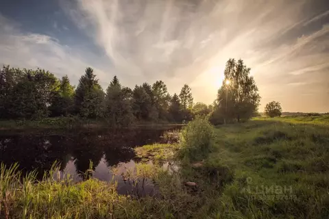 Участок в Московская область, Истра муниципальный округ, д. Ремянники  ...