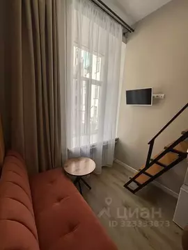 Студия Санкт-Петербург Коломенская ул., 33/40 (14.0 м)