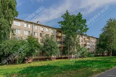 Комната Санкт-Петербург просп. Космонавтов, 18К1 (10.1 м)