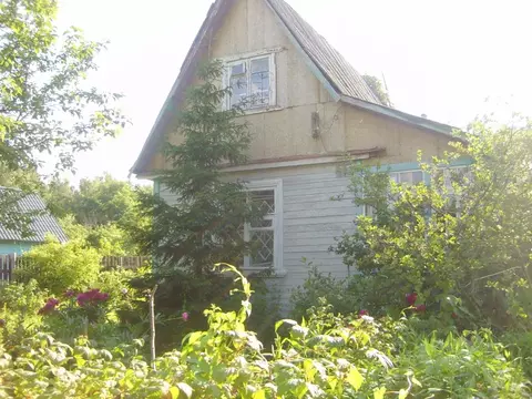 Дом в Московская область, Солнечногорск городской округ, Лесные Поляны ...