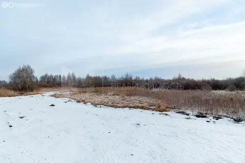 Участок в СНТ Березняки (6.49 м)