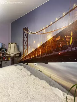 2-комнатная квартира: Псков, Юбилейная улица, 69 (45.7 м)