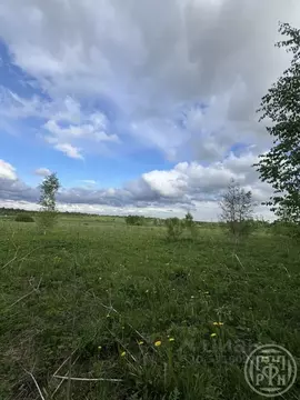 Участок в Ленинградская область, Ломоносовский район, Лопухинское ...