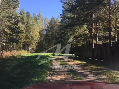 Участок в Владимирская область, Киржачский район, Филипповское ...