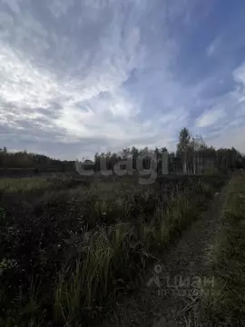 Участок в Калужская область, Дзержинский район, Дворцы с/пос, д. ...