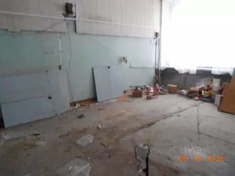 Помещение свободного назначения в Новосибирская область, Новосибирск ...