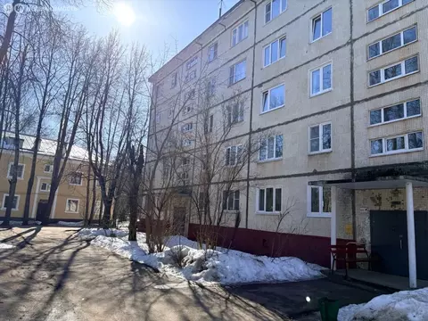 1к в 3-комнатной квартире (14 м)