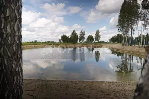 Участок в Тюменская область, Нижнетавдинский муниципальный округ, ...