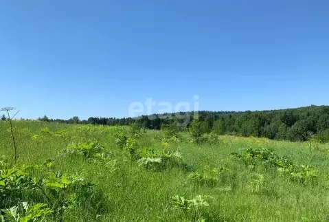 Участок в Пермский край, Пермский муниципальный округ, д. Пашня  ...