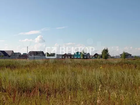 Участок в Костромская область, Нерехта ул. Егорьевская (9.3 сот.)