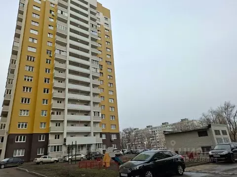 Студия Саратовская область, Саратов проезд 2-й Совхозный, 36к1 (25.2 ...