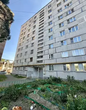 1-к кв. Московская область, Пушкино Пушкинское ш., 3 (28.0 м)