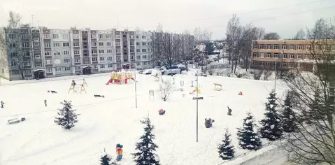 3-комнатная квартира: деревня Малое Верево, Школьная улица, 4 (73 м)