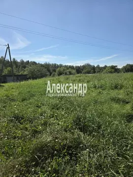 Участок в Ленинградская область, Волховский район, Потанинское с/пос, ...