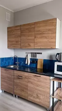 1-к кв. Ленинградская область, Кудрово г. Всеволожский район, ...