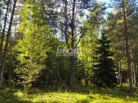 Участок в Ленинградская область, Выборгский район, Селезневское с/пос, ...