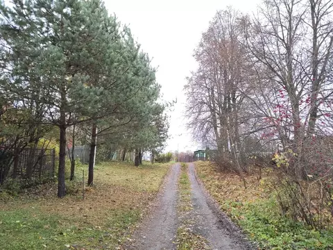 Участок в Калужская область, Жуковский район, Тарутино с/пос, д. ...