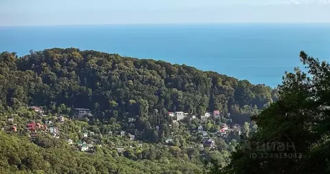 Участок в Краснодарский край, Сочи Суздальская ул., 5 (150.0 сот.)