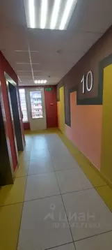 Студия Санкт-Петербург ул. Летчика Лихолетова, 14к2 (24.4 м)