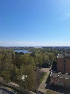 1-к кв. Московская область, Раменское Северное ш., 24 (38.0 м)