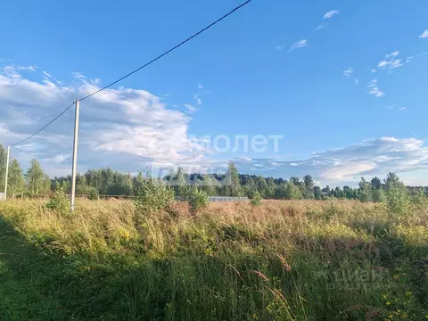 Участок в Владимирская область, Карабаново г. Александровский ...