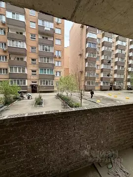 Помещение свободного назначения в Краснодарский край, Краснодар ...