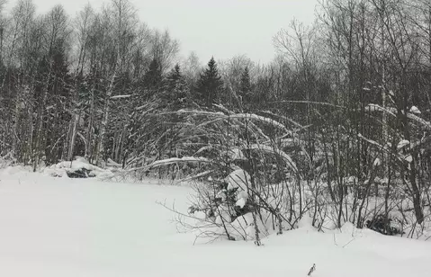 Участок в Московская область, Дмитровский муниципальный округ, д. ...
