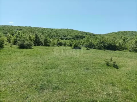 Участок в Крым, Кировский район, Старый Крым городское поселение пер. ...