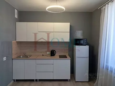 Студия Новосибирская область, Новосибирск ул. Бородина, 54 (30.0 м)