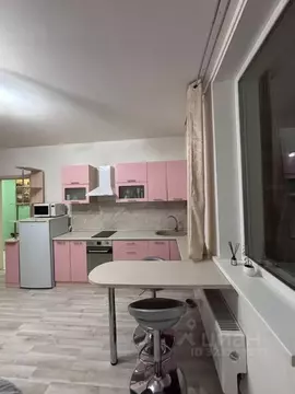 1-к кв. Свердловская область, Екатеринбург ул. Старых Большевиков, 3 ...