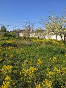 Продается участок в ДНП Дубрава