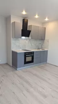 Студия Санкт-Петербург пос. Парголово, Заречная ул., 13к1 (28.6 м)