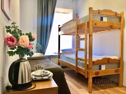 Комната Санкт-Петербург Большая Конюшенная ул., 11Б