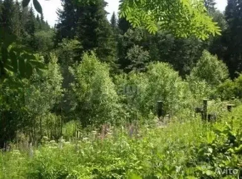 Участок в Пермский край, Пермский район, пос. Юго-Камский ул. Южная ...