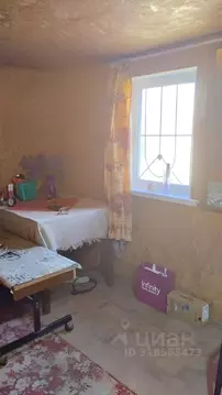 Дом в Курганская область, Курган Земледелец СНТ,  (36 м)