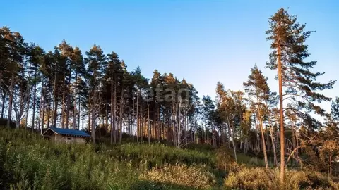 Участок в Ленинградская область, Выборгский район, Полянское с/пос, ...