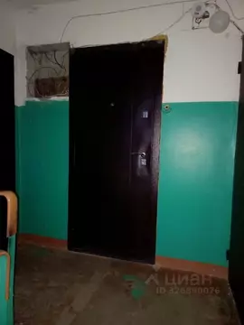 1-к кв. Тульская область, Донской ул. 328-й Стрелковой Дивизии, 10 ...