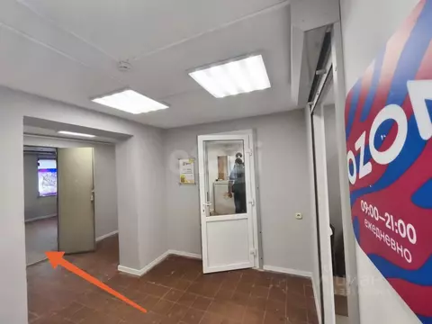 Помещение свободного назначения в Санкт-Петербург Ириновский просп., ...