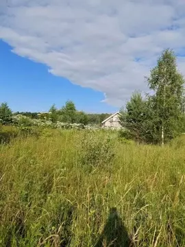 Участок в Московская область, Истра муниципальный округ, д. ...