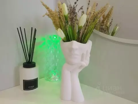 1-к кв. Краснодарский край, Сочи Виноградная ул., 19 (30.0 м)