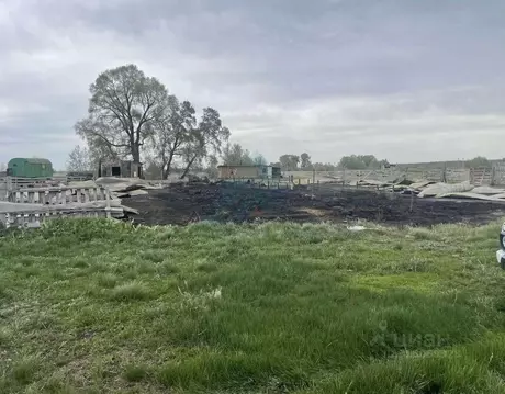 Участок в Оренбургская область, Оренбургский район, с. Нижняя Павловка ...