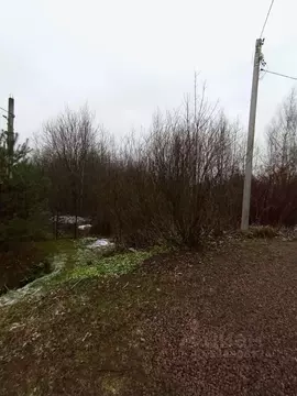 Участок в Санкт-Петербург пос. Парголово, Озерная ул., 45к4 (13.7 ...