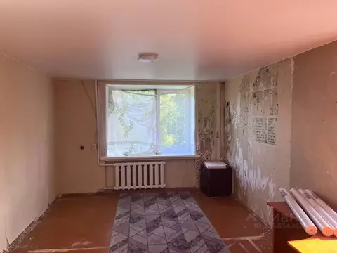 Комната Санкт-Петербург ул. Политрука Пасечника, 17 (20.0 м)