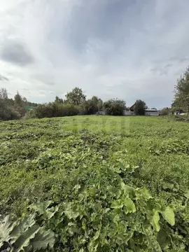 Участок в Тюменская область, Нижнетавдинский муниципальный округ, ...