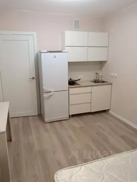 Студия Санкт-Петербург ул. Пахомовская, 18к1 (28.0 м)